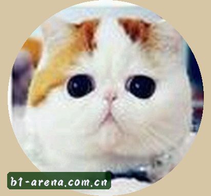李婷